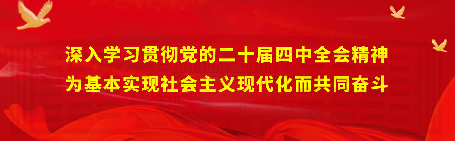 学习贯彻党的二十届四中全会精神